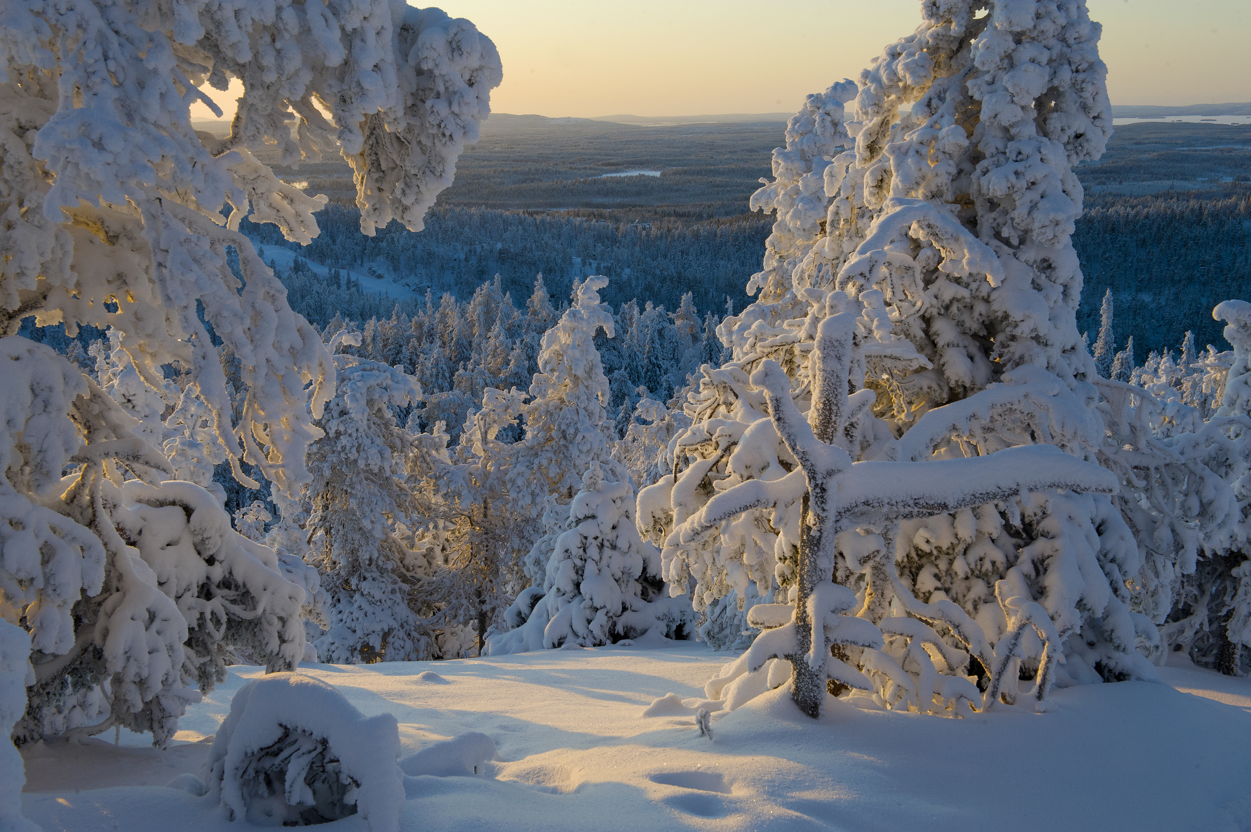 <p>Alkutalven lumi ja matalalta paistava marraskuinen aurinko ja tekevät Valtavaaran maisemasta satumaisen.</p>