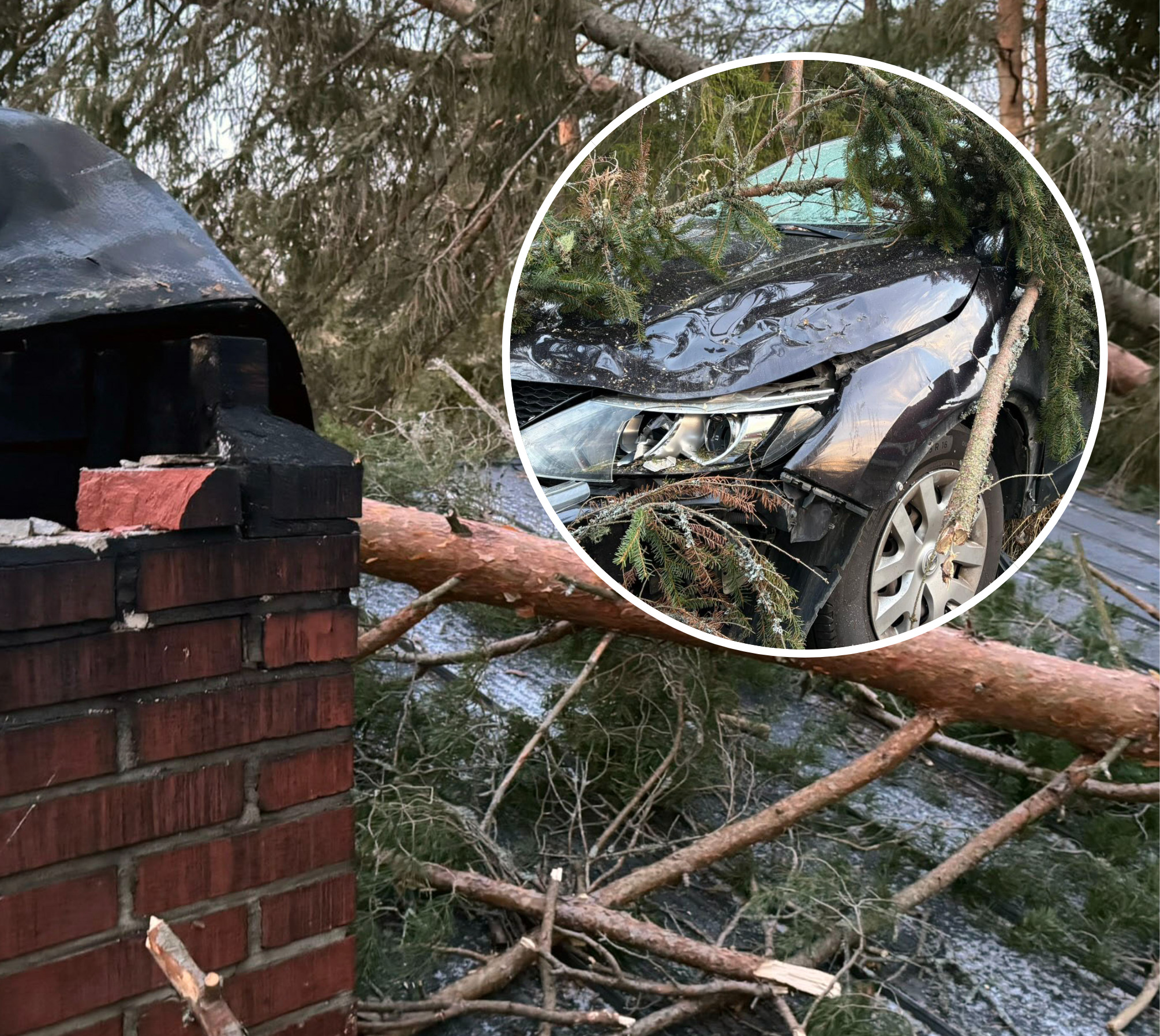 LähiTapiola: Hannes-myrskyn tuhot nousevat yli 6 miljoonaan Etelä-Pohjanmaalla