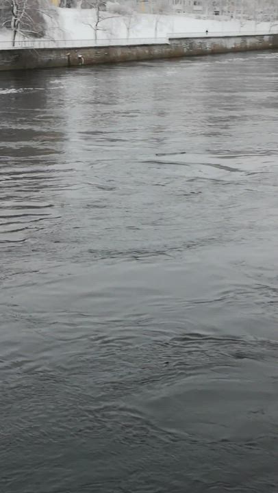 Pulska hylje uiskenteli Merikoskessa lauantai-iltapäivällä.