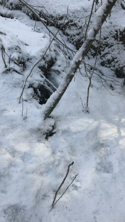 Vesivuorenpurkaus Pilpalla