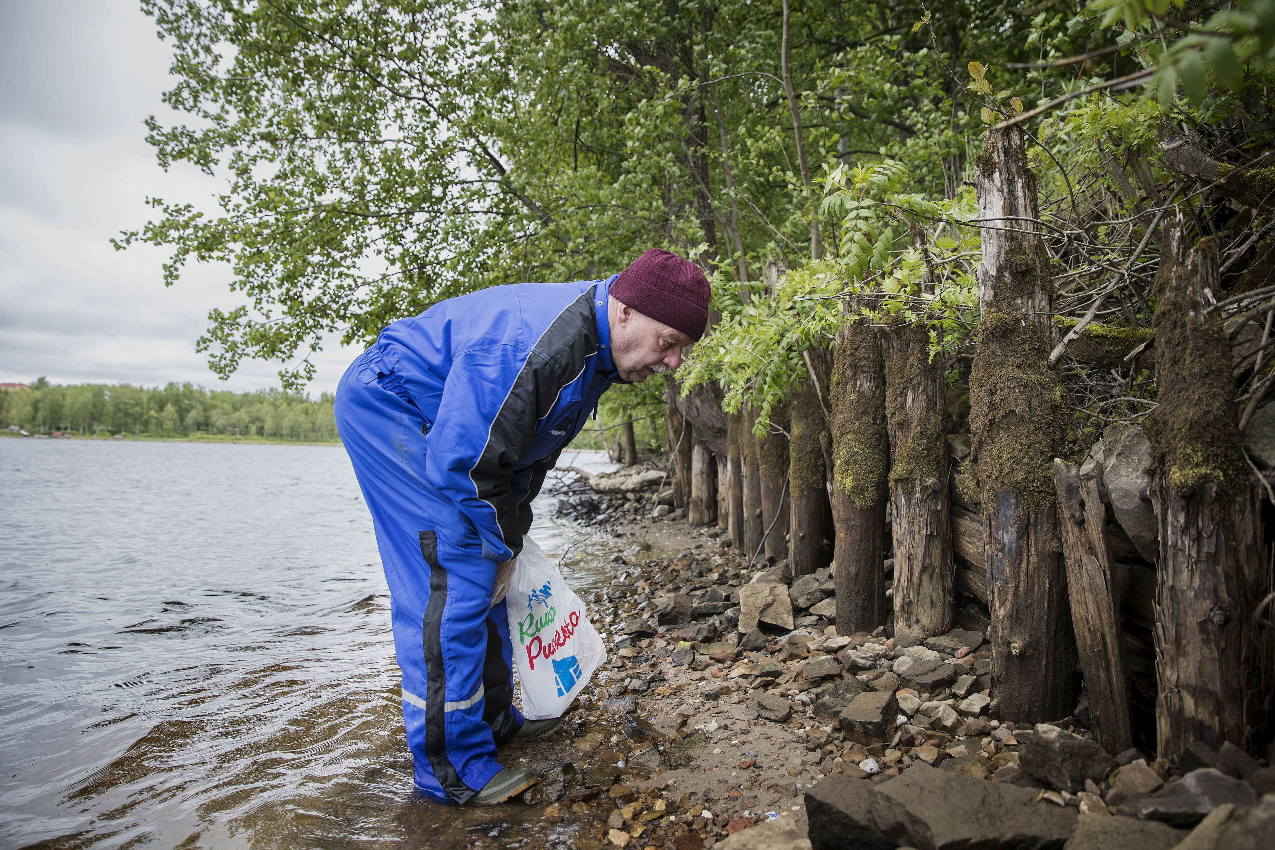 Oulun yliopiston arkeologian emerituslehtori Pentti Koivunen tutkii Pikisaaren rantaa.