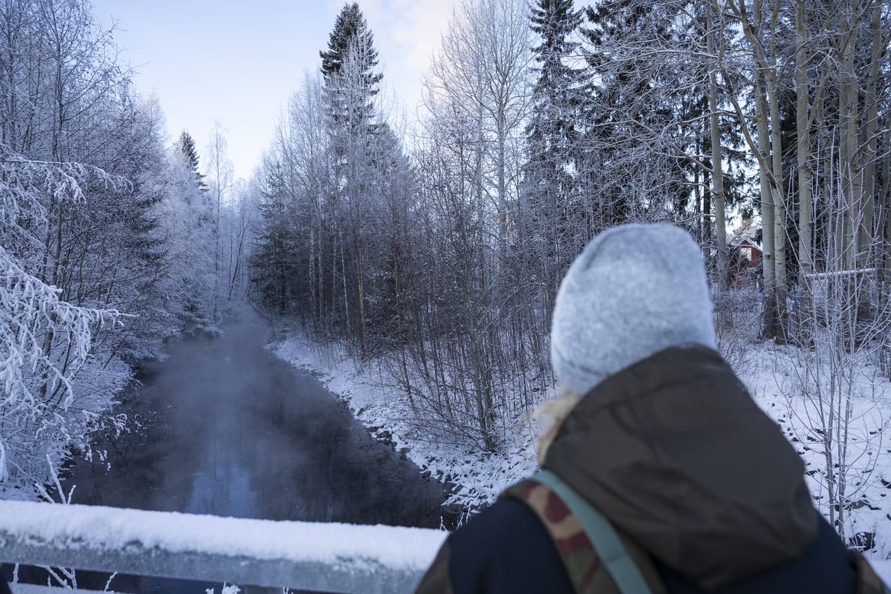 Koskikaroja on Suomessa monin verroin enemmän talvella kuin kesällä. Oulussa niitä voi havaita esimerkiksi Toppilan lämpövoimalan ojassa, joka pysyy sulana ympäri vuoden.