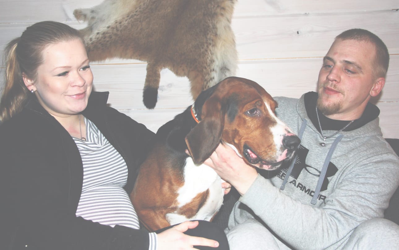 Kirsi Korhonen ja Tuomas Similä kehuvat isokokoista Veetiä lupsakaksi hulmuajaksi. Metsässä sitä ei pidättele mikään.