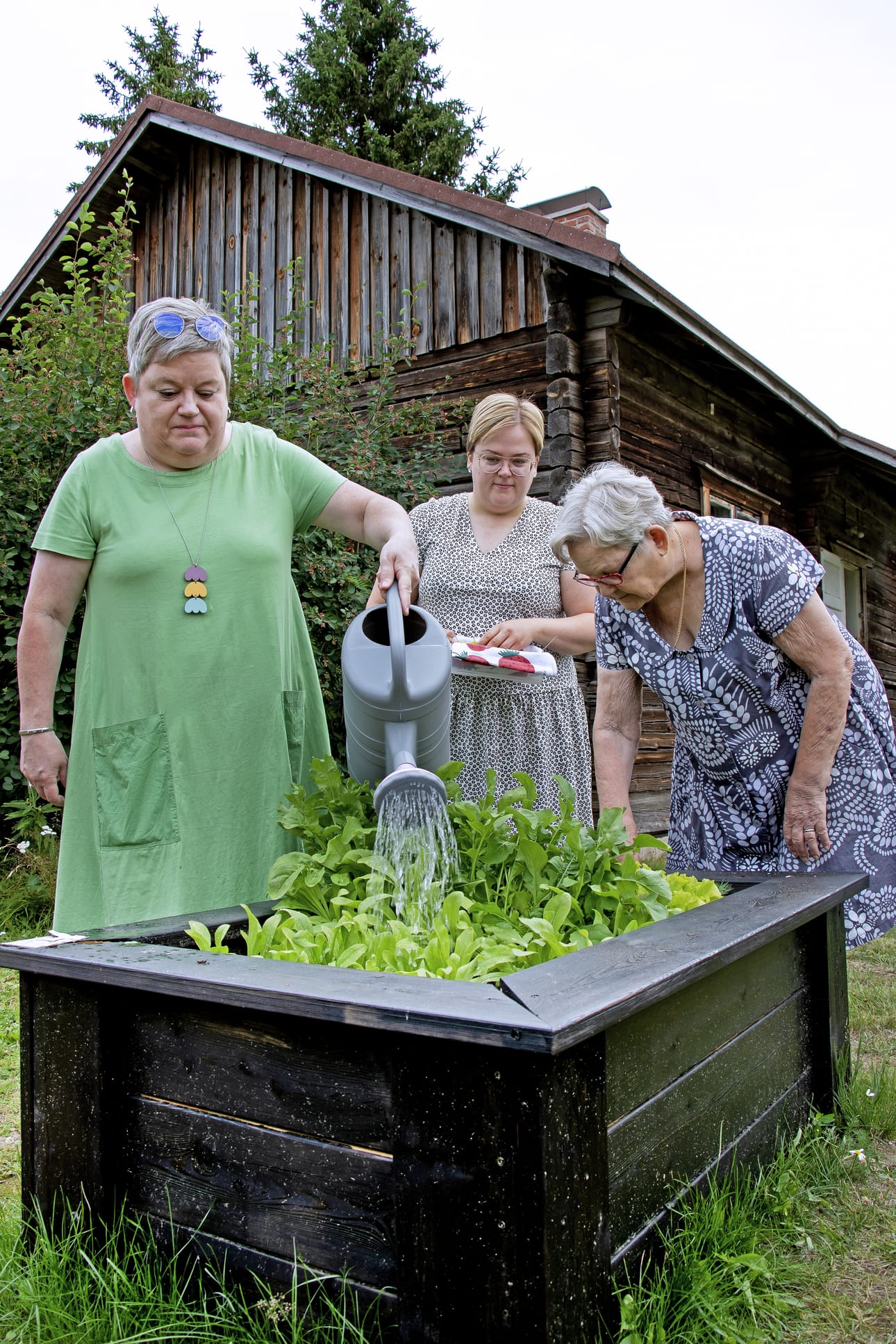 Minna, Anna-Maija ja Maija-Liisa Siira intoutuivat viljelypuuhiin yksissä tuumin. Kastelutyötä on riittänyt tänä kesänä. Vesi on kannettu kotoa.