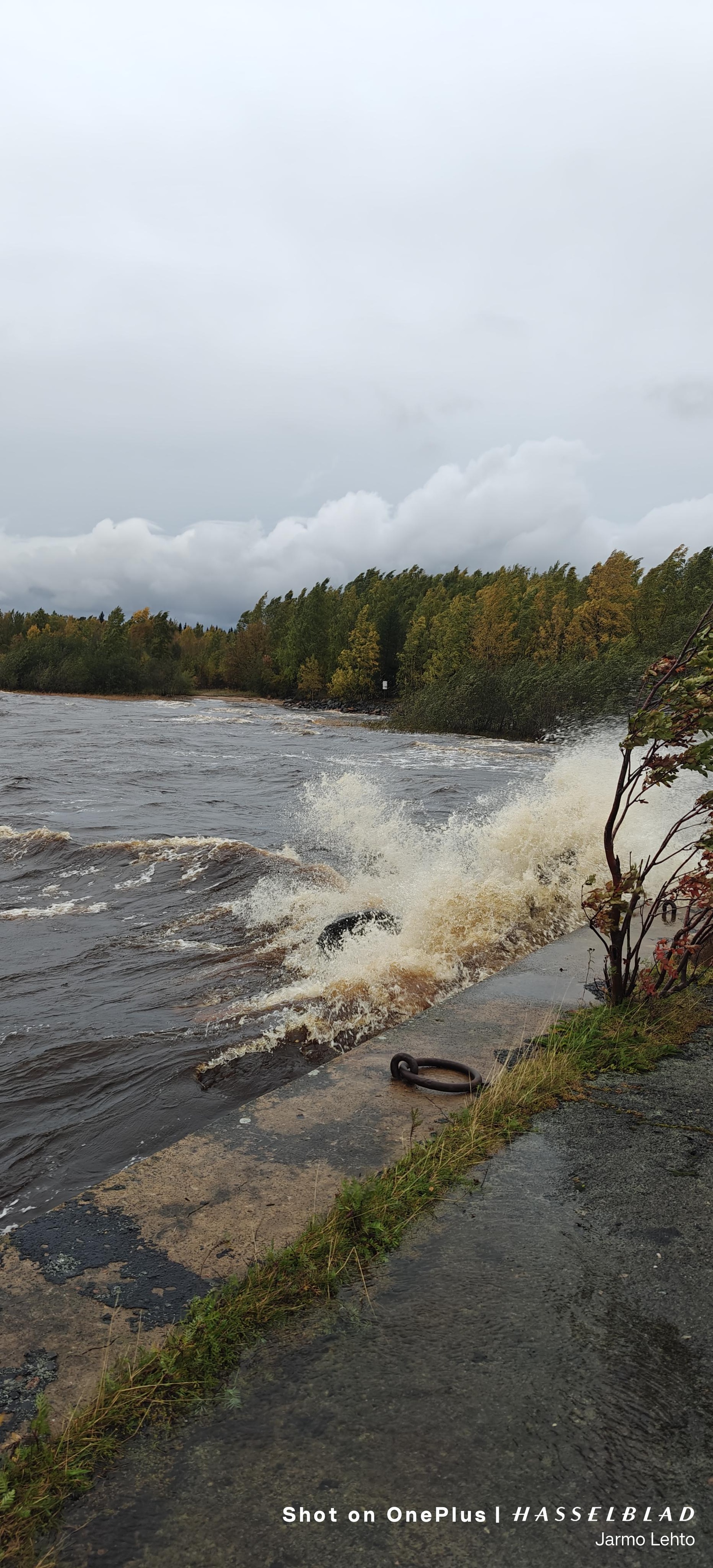 Myrskytuuli Haukiputaan laitakarissa