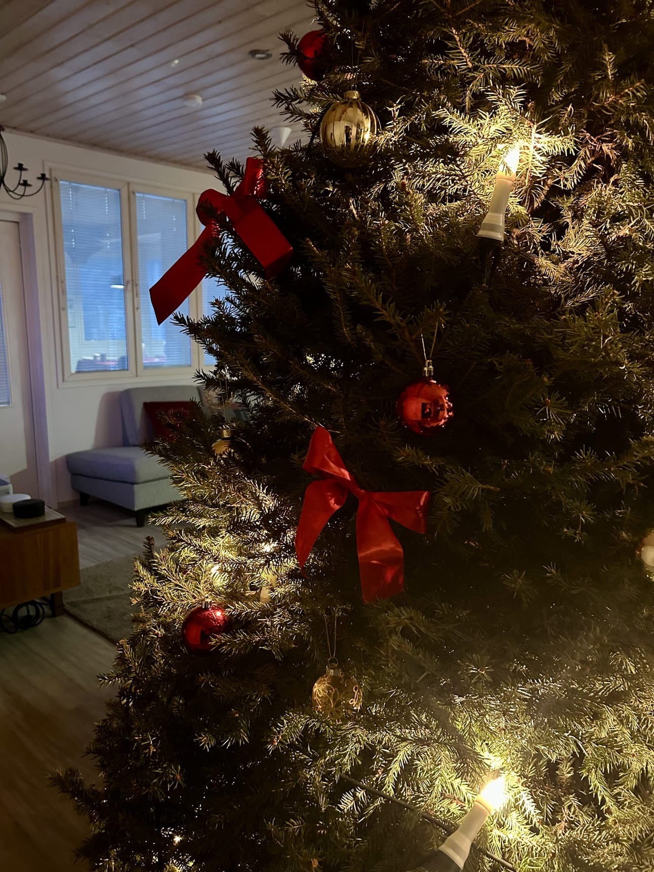 Vestia kerää joulukuuset veloituksetta tammikuun ajan. Arkistokuva.