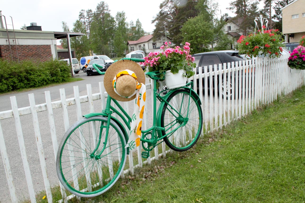 Eivätköhän ensi kesänäkin kukat kukoista, vaikka Niilo Sarajärven ennusmerkkien mukaan parhaat kesäsäät ovatkin loppukesän puolella.