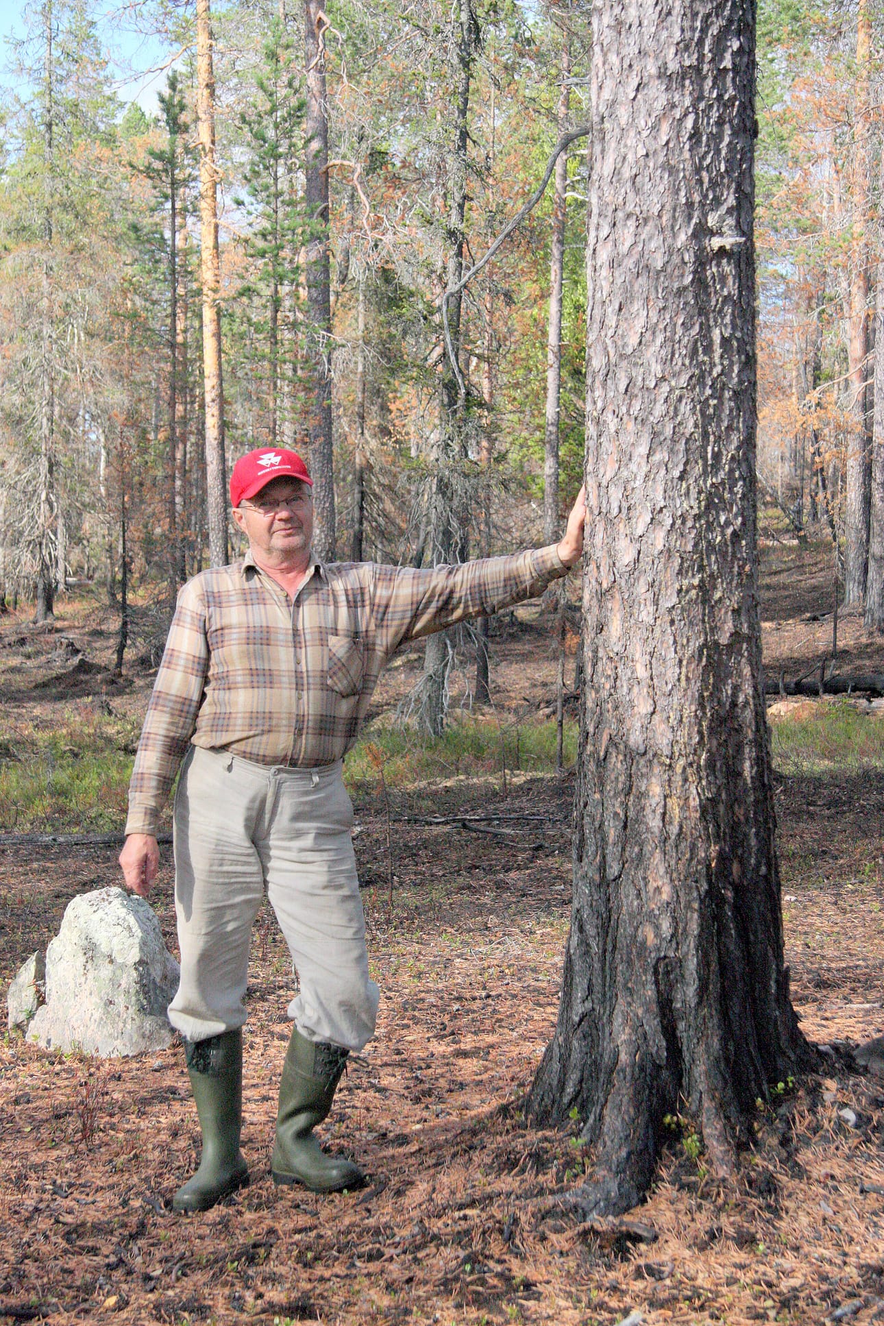 Poltetulle alueelle hillaretkellä osunut Pauli Iinatti ihmettelee järeän metsän polttamista.