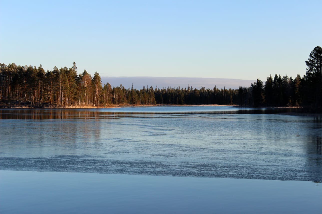 Pakkasyön jälkeinen aamu Kuusamon Yli-Kitkalla keskiviikkona.