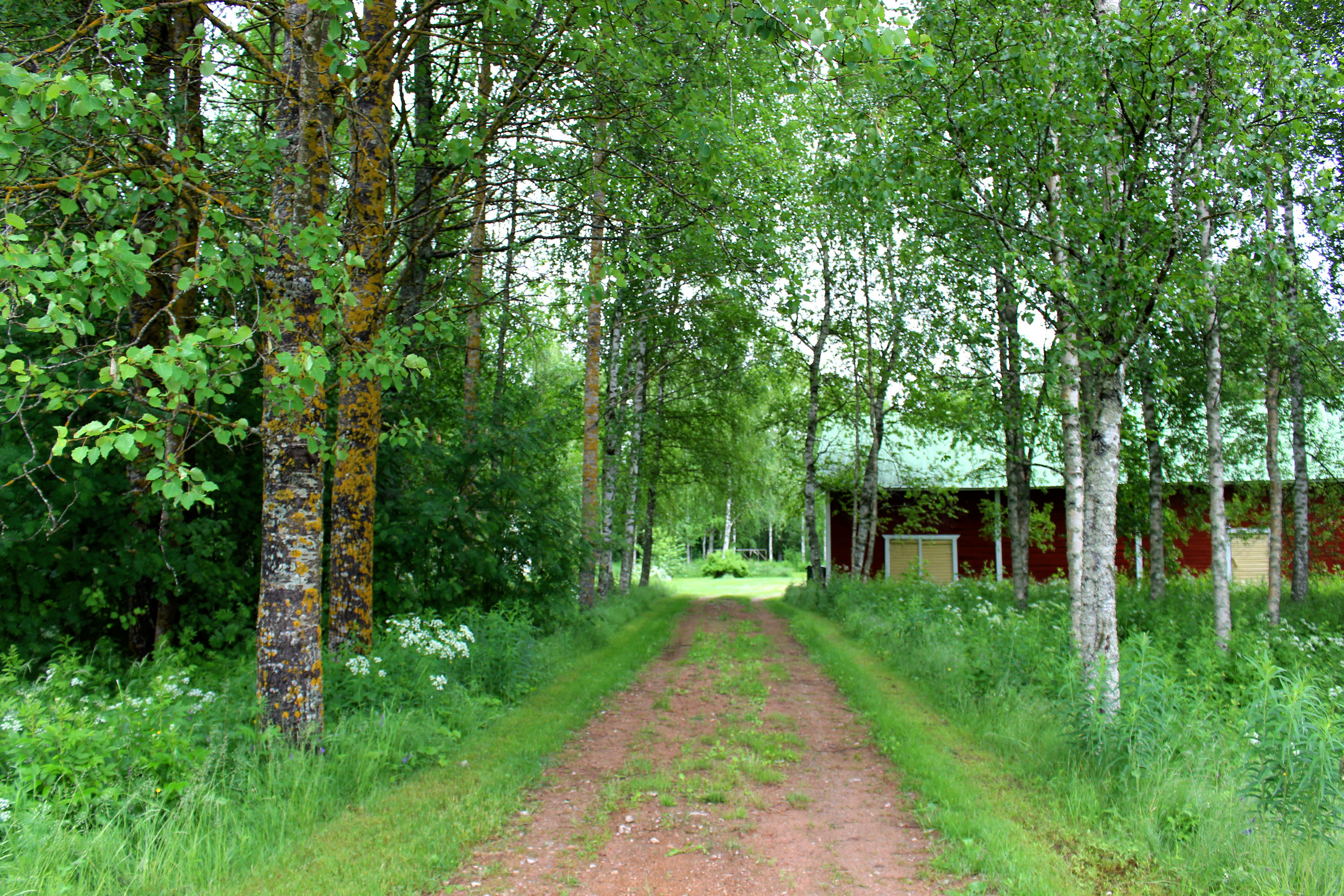 Upea puukuja johdattaa Oppilan pihaan. Lähes hehtaarin kokoinen tontti rajautuu Kärsämänjokeen.