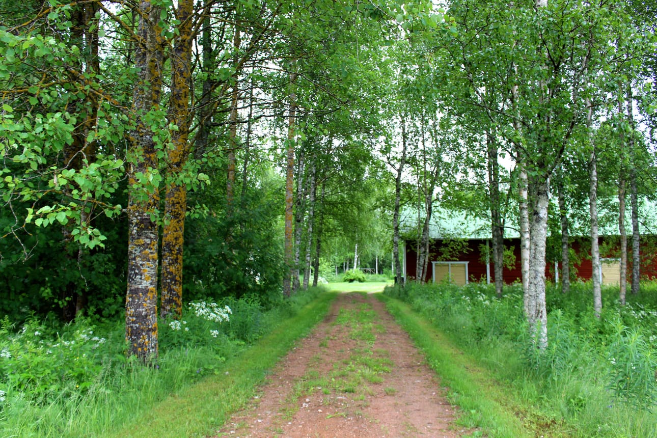 Upea puukuja johdattaa Oppilan pihaan. Lähes hehtaarin kokoinen tontti rajautuu Kärsämänjokeen.