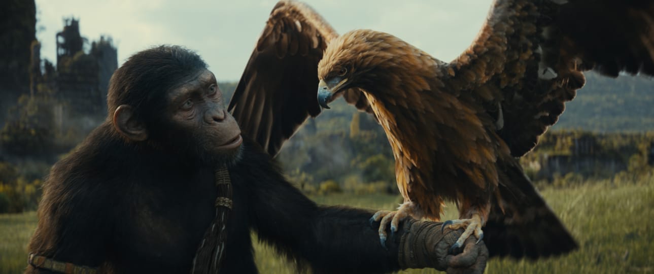 Noa-simpanssi (Owen Teague) on uuden Kingdom of the Planet of Apes -elokuvan sympaattinen sankari.