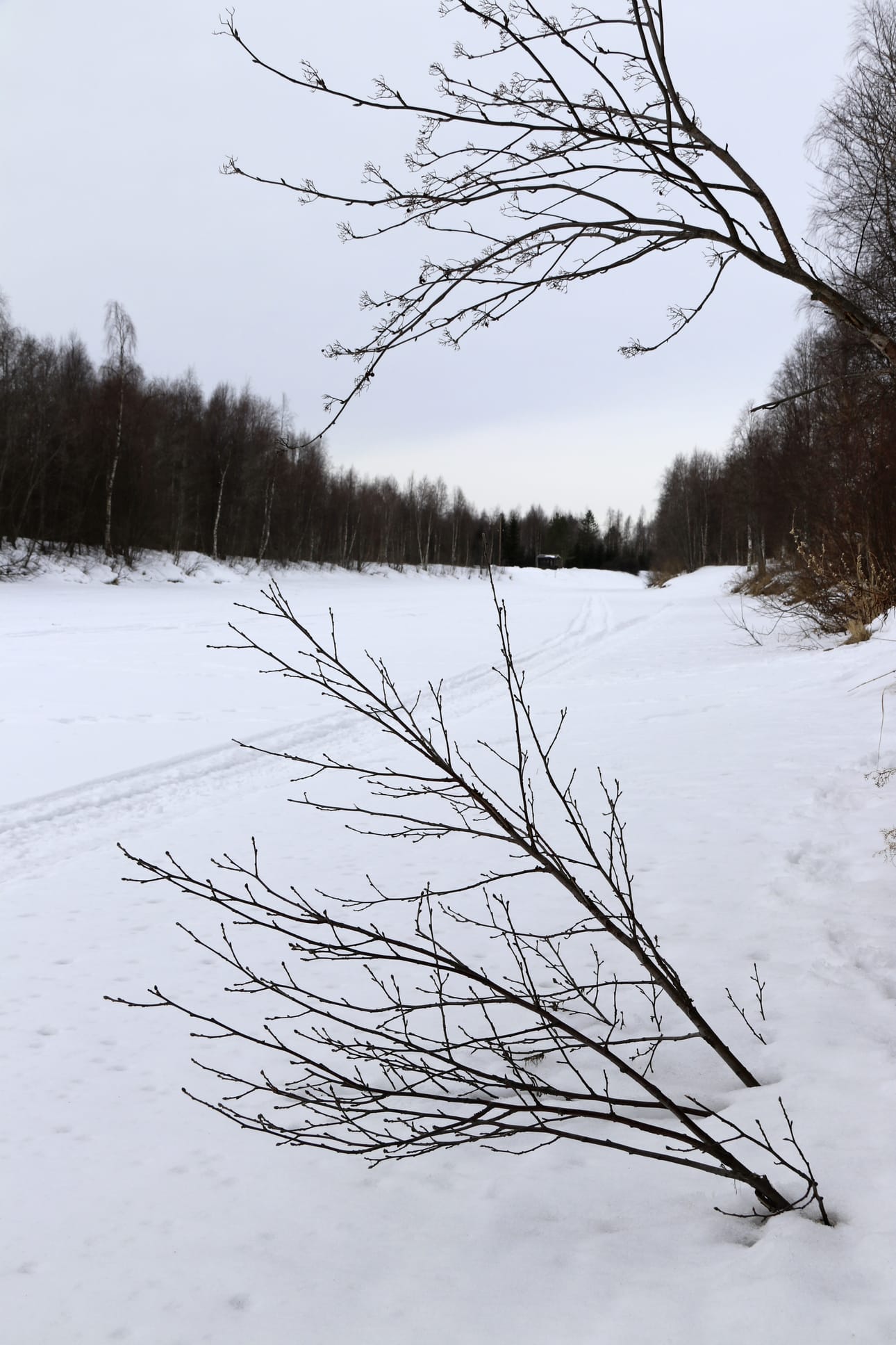 Temmesjoki on vielä tiukasti jäässä. Jos lämpeneminen käynnistyy nopeasti, voi syntyä kunnon kevättulva.