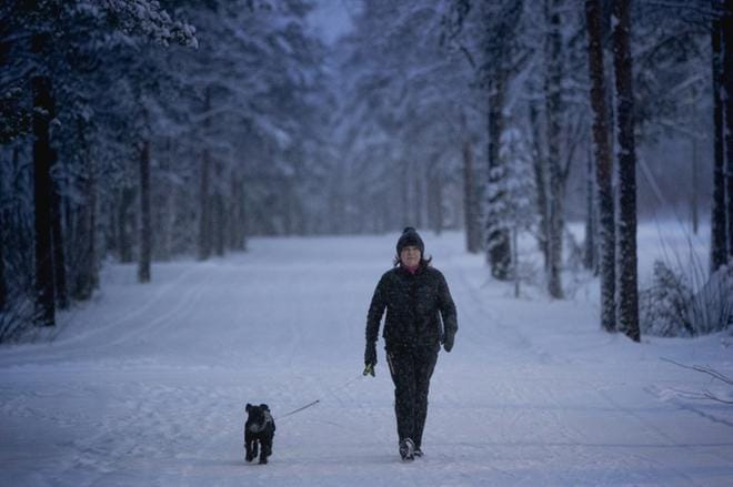 Jose ja Päivi Asikainen lenkkeilevät Joupiskalla päivittäin. Asikainen on tyytyväinen Seinäjoen kävelyreittitarjontaan. – Suon ilomielin ladut hiihtäjille. Itse en hiihdä, Asikainen sanoo.KUVA: JAAKKO ELENIUS