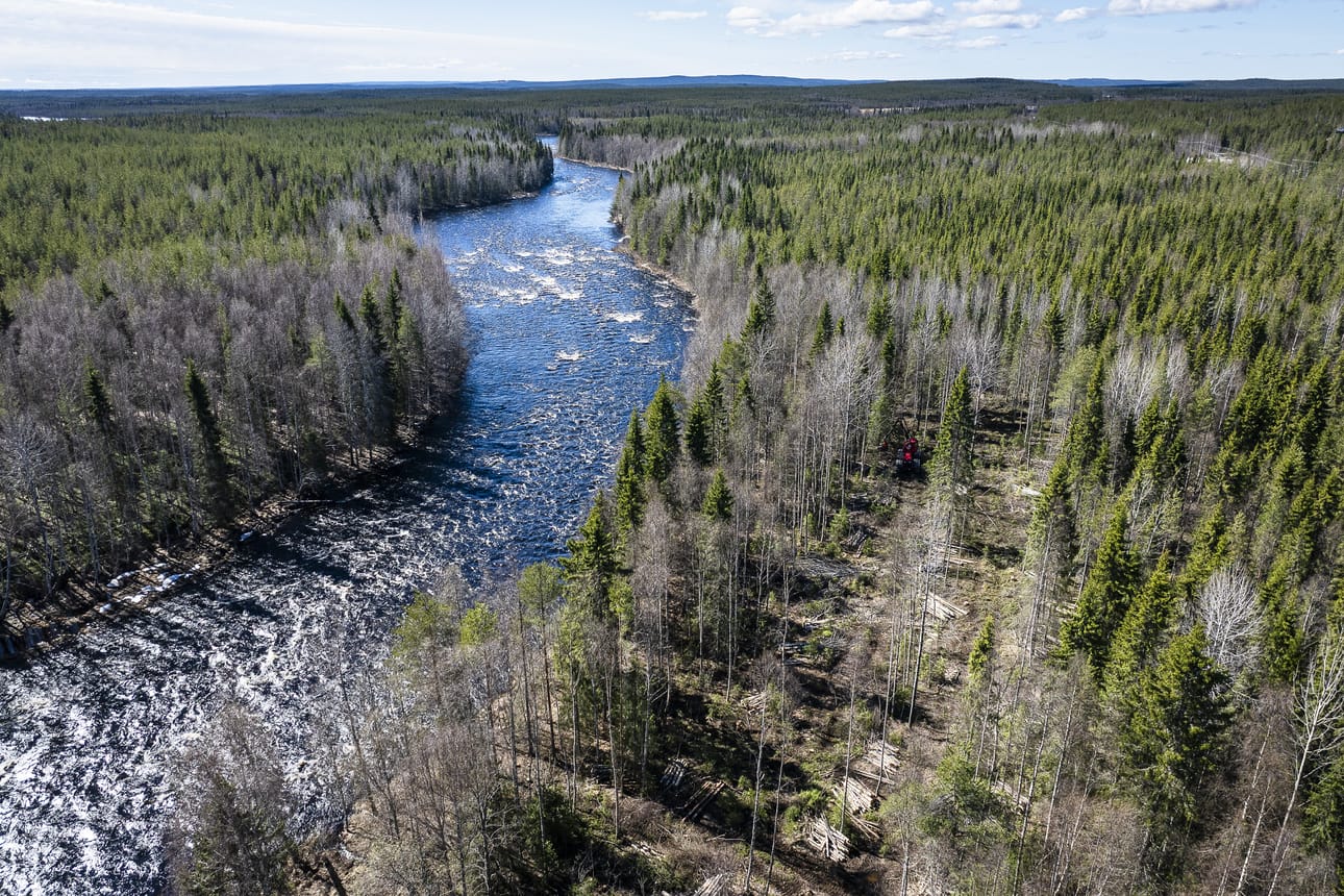 Halo Igloos -lomakylän on tarkoitus valmistua ensi talvisesonkiin. Keskiviikkona rakennusalueelta oli jo kaadettu puita.