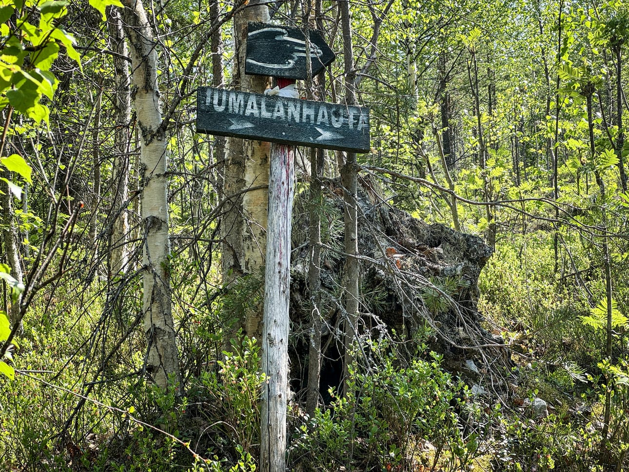 Tien varressa oleva viitta ohjaa oikealle polulle.