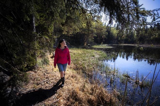 Lammassaaren 120-vuotiaista metsistä tekee erityisen arvokkaita niiden sijainti maankohoamisen välittömässä vaikutuspiirissä. Maankohoamisrannikon vanhat metsät ovat haluttuja kohteita metsäluonnon suojeluohjelmassa, Metsossa. Hanna Möuts kuvattuna vuosi sitten Lammassaaren maisemissa. KUVA: JARNO PELLINEN