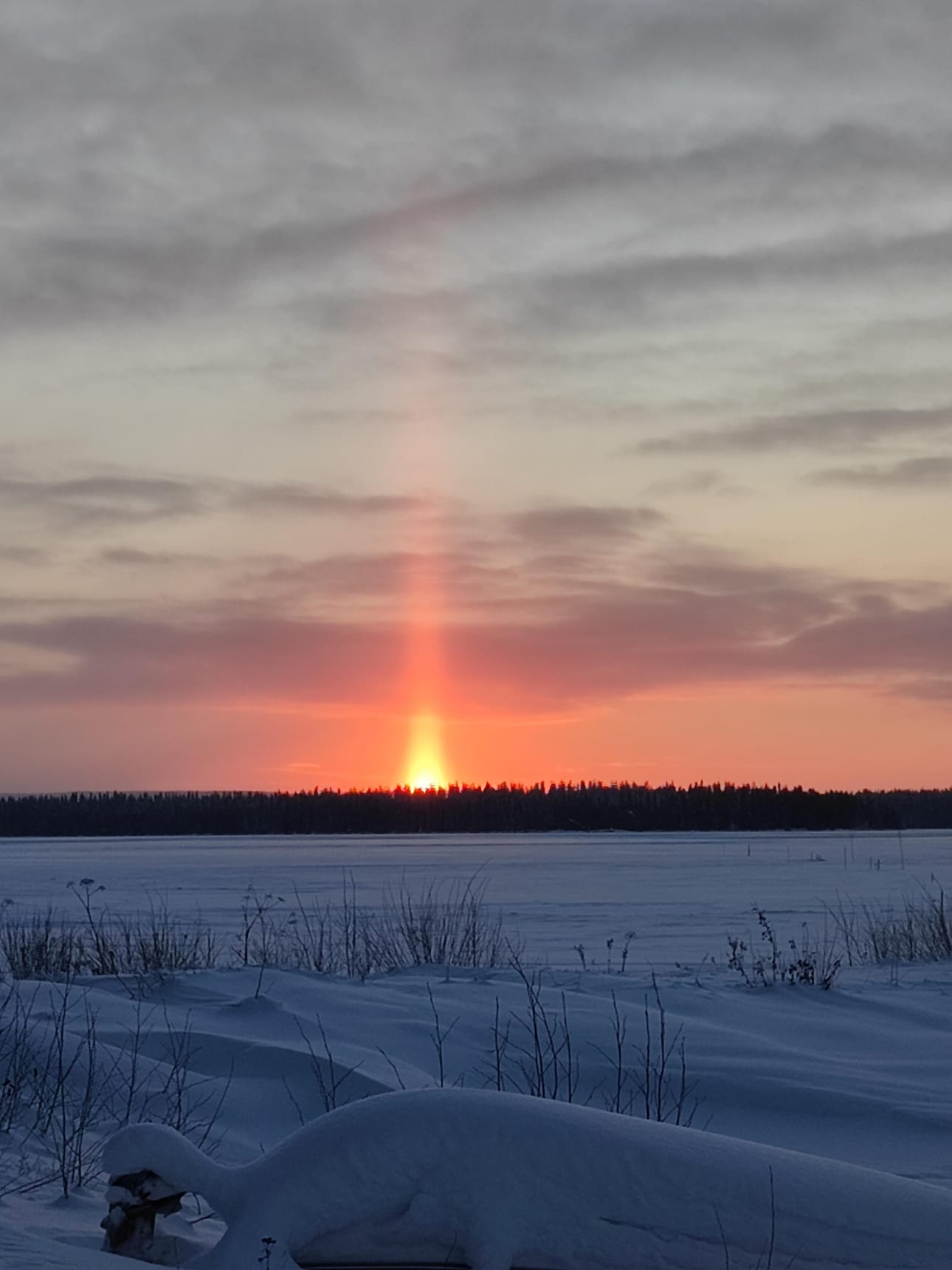 Tammikuinen auringonnousu Kuusamossa.