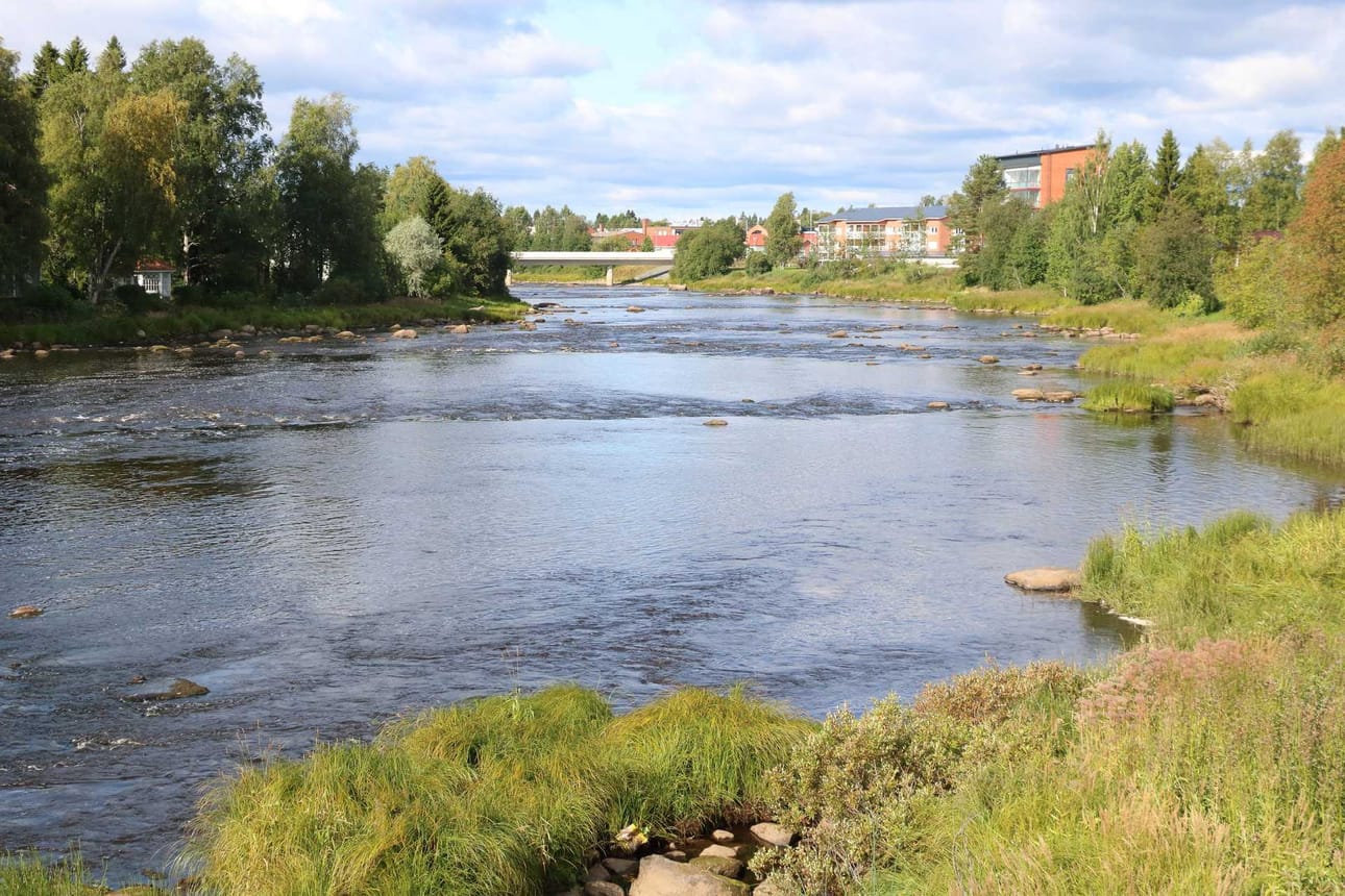 Pyhäjoen rantoja on kunnostettu useana vuonna Oulaisissa taajaman kohdalla.