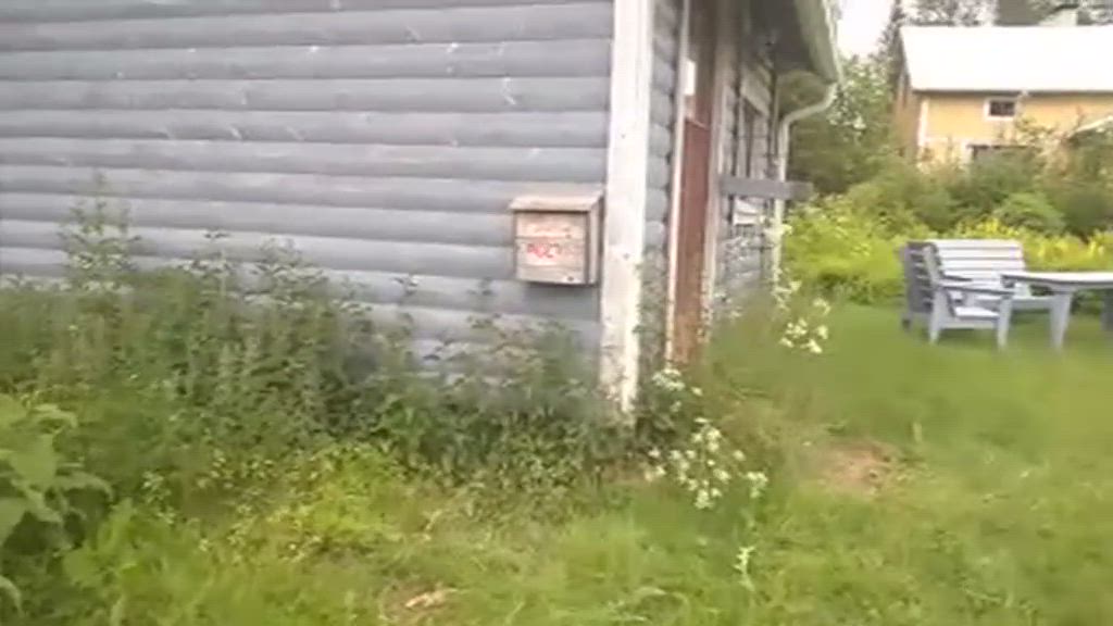 Lukijan video: Yllätys postilaatikossa