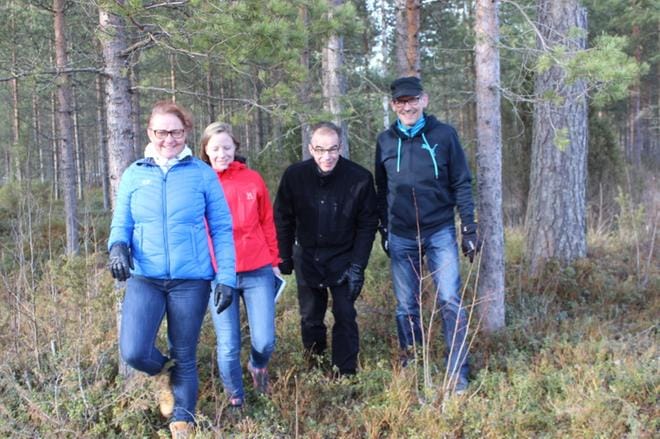 Kuortaneen Aholankankaan metsissäkin on kohta kova vilske, kun suunnistajien Leimaus-leiri alkaa, tietävät Arja Stevander (vasemmalla), Lauriina Aninko, Ilpo Koivisto ja Heikki Savela. Kuva: Reijo Heikkilä