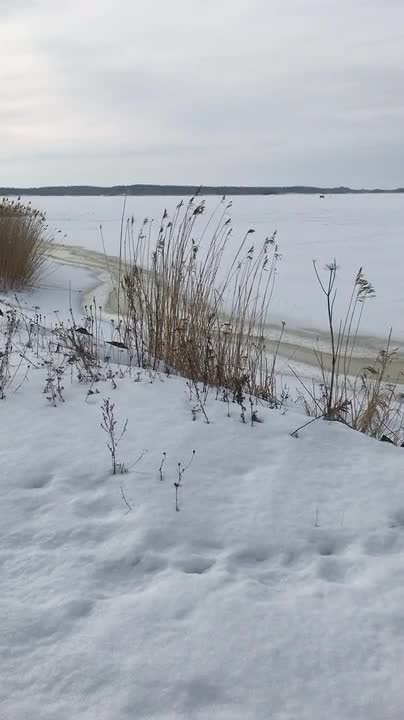 Tuulinen aamu
