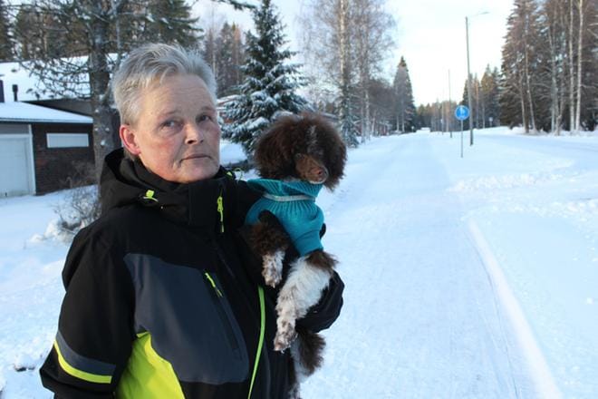 Viiden kuukauden ikäinen Sulo-koira ja Lenita Hautoniemi tekivät perjantaina puoliltapäivin parin kilometrin kävelylenkin Ähtärin keskustaajaman liepeillä. KUVA: REIJO HEIKKILÄ