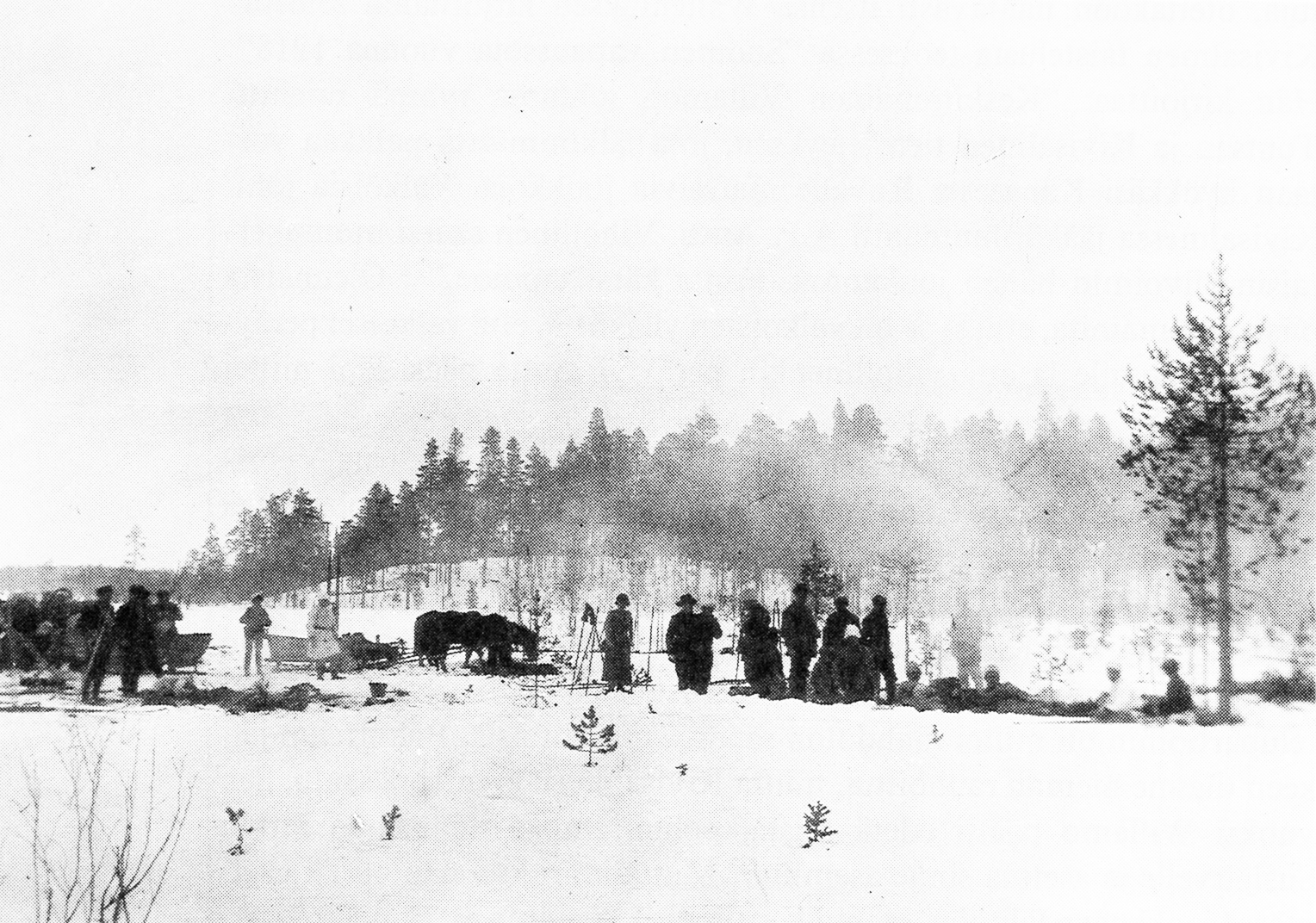 Pudasjärveltä Saksaan jääkäriksi lähtenyt Pudasjärven kirkkoherran poika, luutnantti Arvo Thauvon kaatui 3.3.1918 Mäntyharjun Mouhun taistelussa.