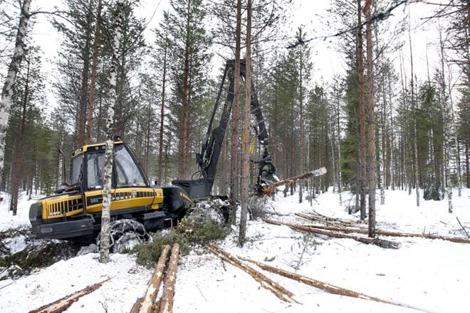 Metsäkeskuksen rahoitus- ja tarkastuspäällikkö Ari Nikkolan mukaan väärät hakkuut johtuvat usein inhimillisestä virheestä. Esimerkiksi paksun lumikerroksen alta erityiskohteita on vaikea havaita. Kuva ei liity tapaukseen. Arkistokuva: Teijo Määttänen