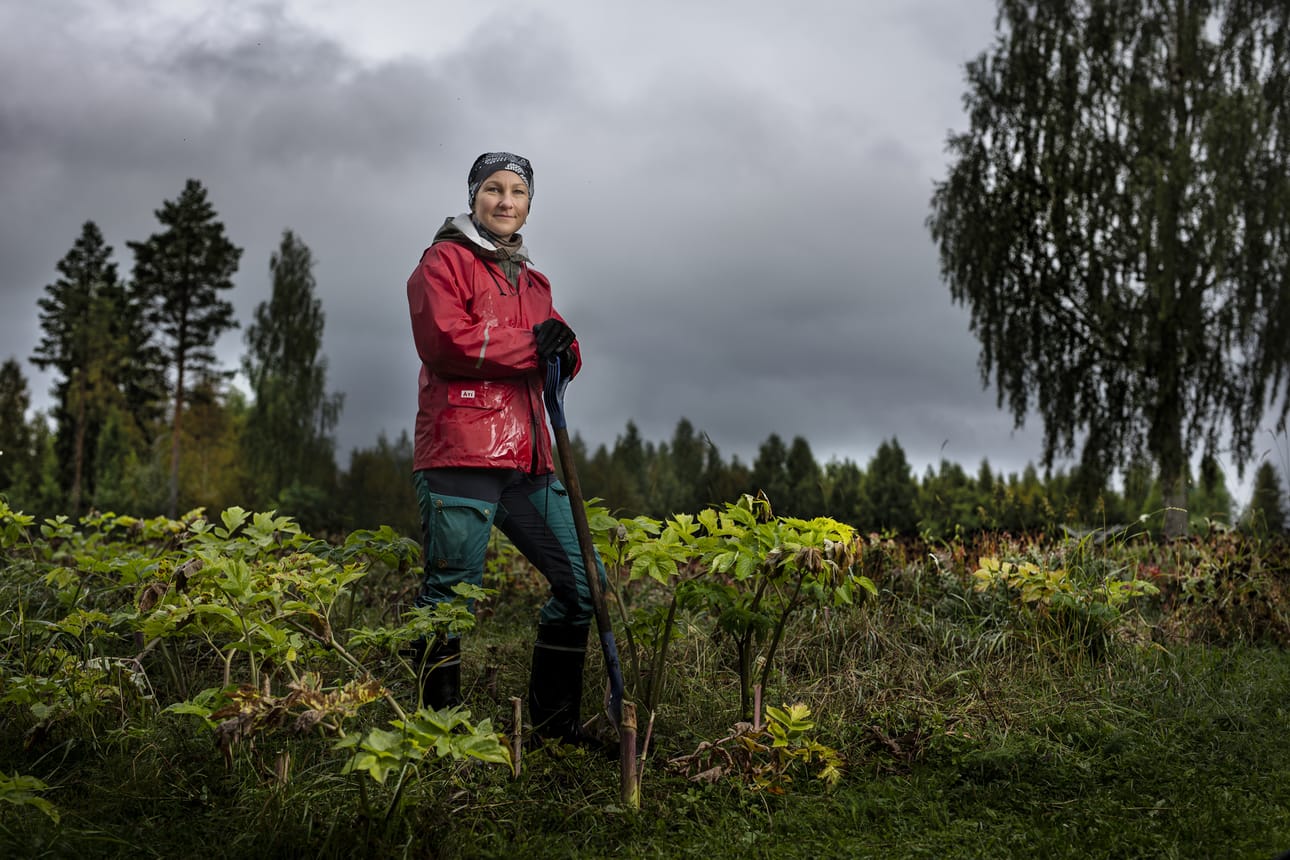 Lapissa rahoittajiin, yrittäjäjärjestöihin ja kehittämisorganisaatioihin on matala kynnys olla yhteydessä. Myös tuotanto- ja varastotilojen neliöt ovat huomattavasti halvempia kuin pääkaupunkiseudulla, kertoo Misikangas.
