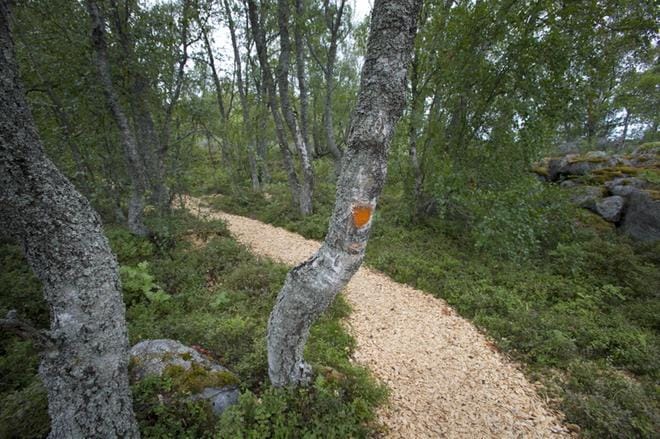 Bodvattnet runt on alle neljän kilometrin luontopolku, joka soveltuu päiväretken kohteeksi lapsiperheillekin. Maailmanluokan tunnelmiin pääsee näköalatornista. KUVA: JARI E. HAKALA