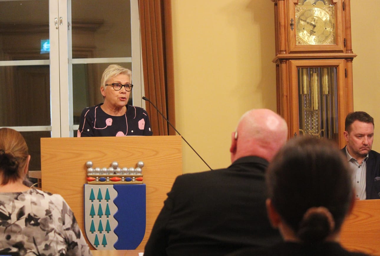 Anja Heinänen (sd.) totesi olleensa aloitteessaan aikaansa edellä.