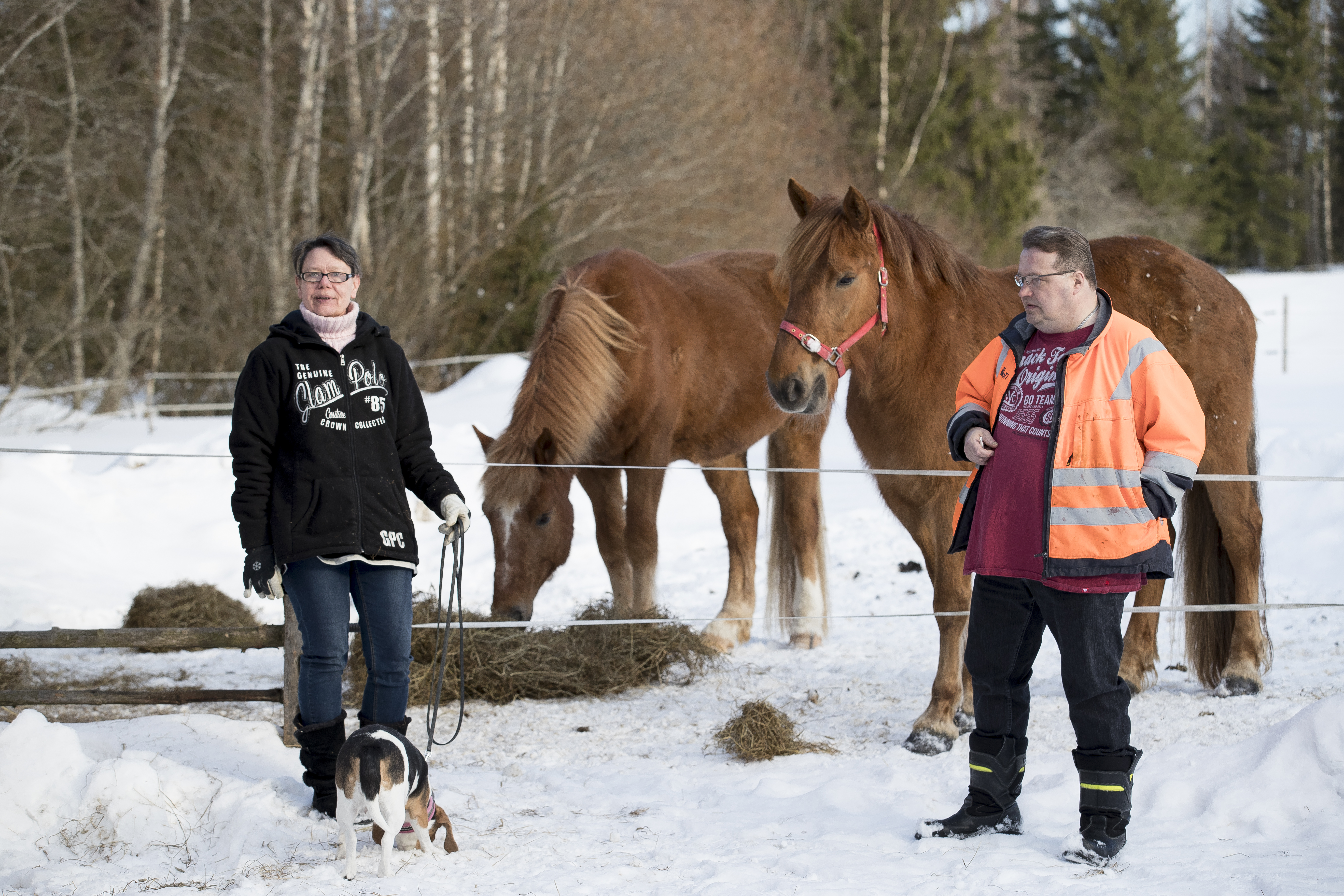 Jaana ja Markku kylmäsen maatila pelkosperällä vihannissa.
Jaana Kylmänen, Markku Kylmänen, Pelkosperä, vihanti