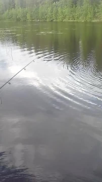 Pojan ensimmäinen kirjolohi