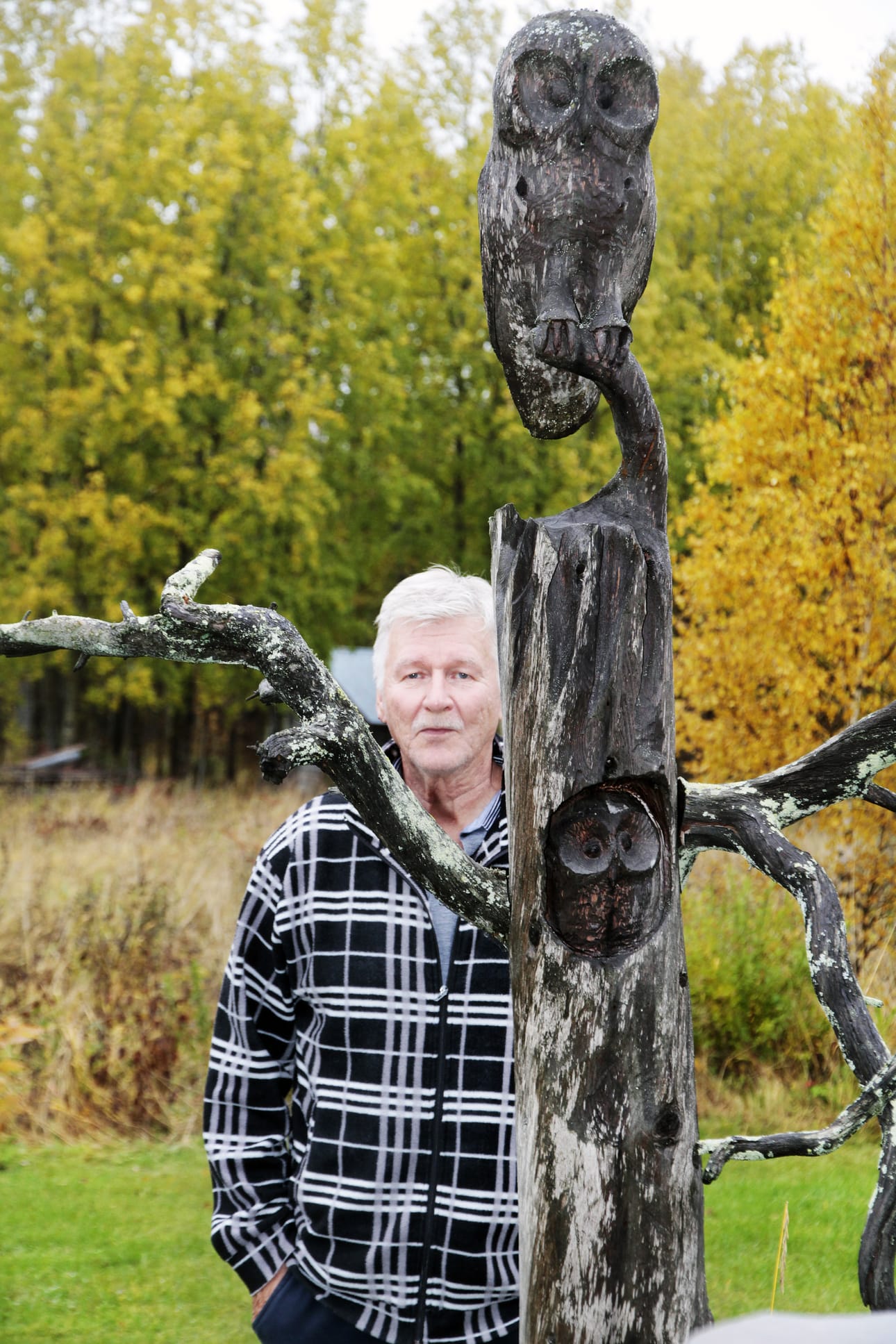 Lasse Hiltusen veistämät pöllöt viihtyvät pihakelossa.