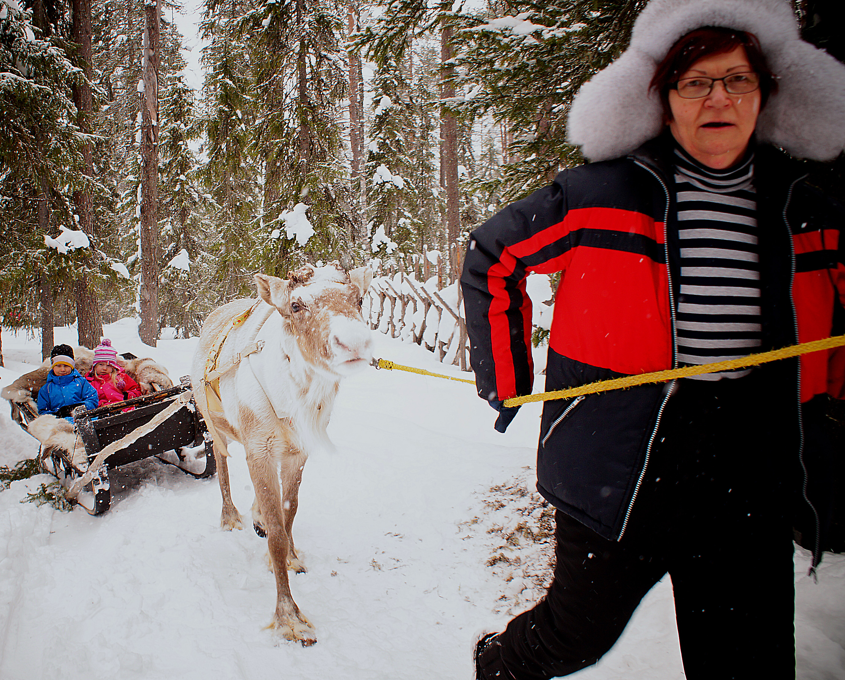 Tanja

Lapinlampi

ja Matti-

poro pitivät huolen

siitä, ettäkyyti oli rauhallista

ja turvallista.
