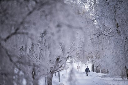 Oulun seudulle luvassa tasaisen kylmä viikko, luntakin saadaan – Tiistaina kylmä pohjoistuuli voi nipistellä poskia