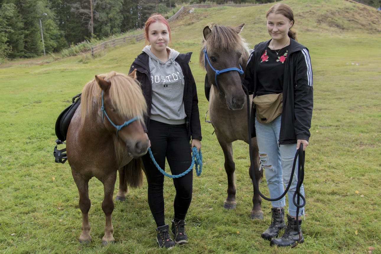 Päivin issikkat järjestivät talutusratsastusta. Kuvassa hevoset Myrtti ja Smidur. Taluttajina toimivat Jaana Laitinen ja Essi Kivelä.