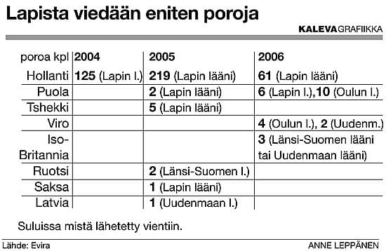 Jukka Siekkinen kertoo rakastavansa poroja. "Poro on yksilö, vaikka se viihtyykin laumassa", hän sanoo.