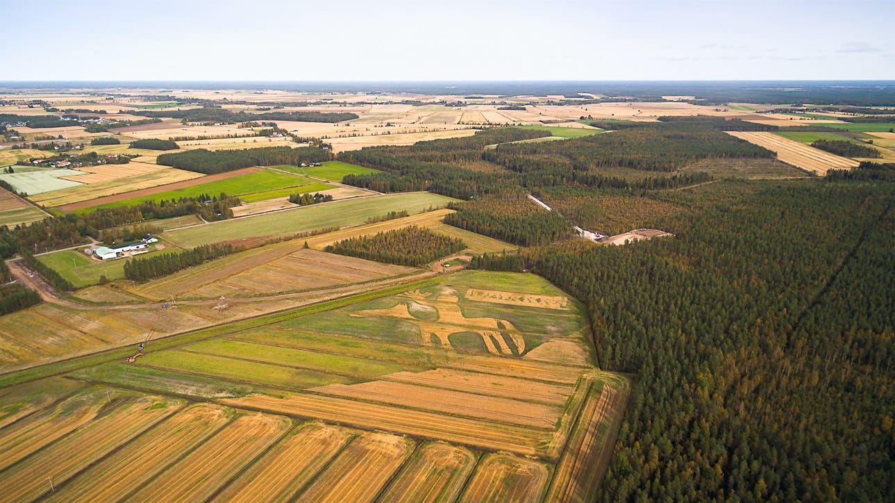 Tyrnävän peltotaideteos.