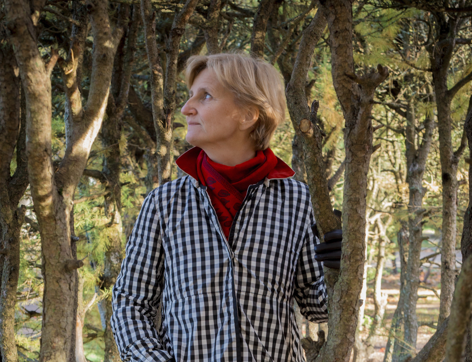 Luento: Miksi Beethoven ei viihtynyt oopperan parissa