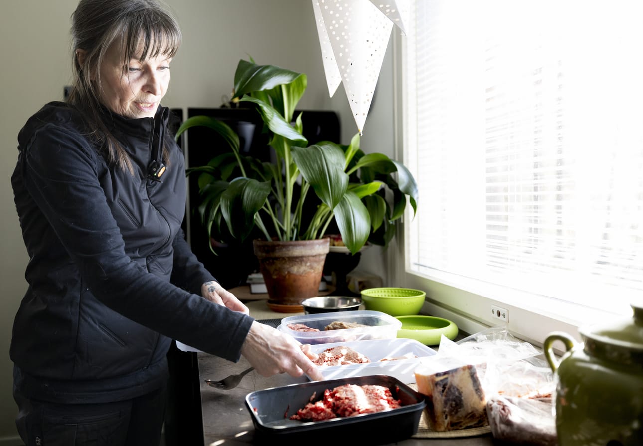 Raakaruoka tarkoittaa koiran kohdalla käytännössä raakaa lihaa, luita, kasviksia, sisäelimiä, rasvaa ja kananmunaa. Rasvahappoja Aija Rantasuon koirat saavat kalasta tai purkista, jodia merilevästä ja D-vitamiinia purkista. Tärkeää on, että proteiinin lähteitä on useita, eli että ruokavalio on monipuolinen.