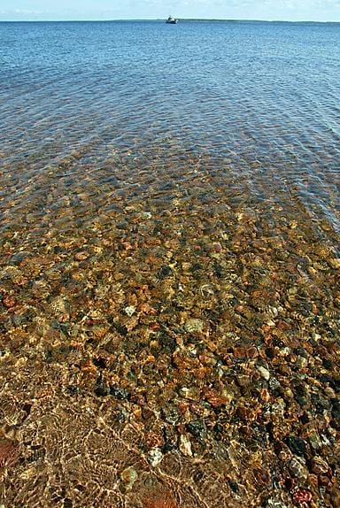 Pohjasedimentin ja pohjaeläimistön tila on kurjempi kuin koko Muikun seitsemän vuotta kestäneen rannikkoseurannan aikana.
