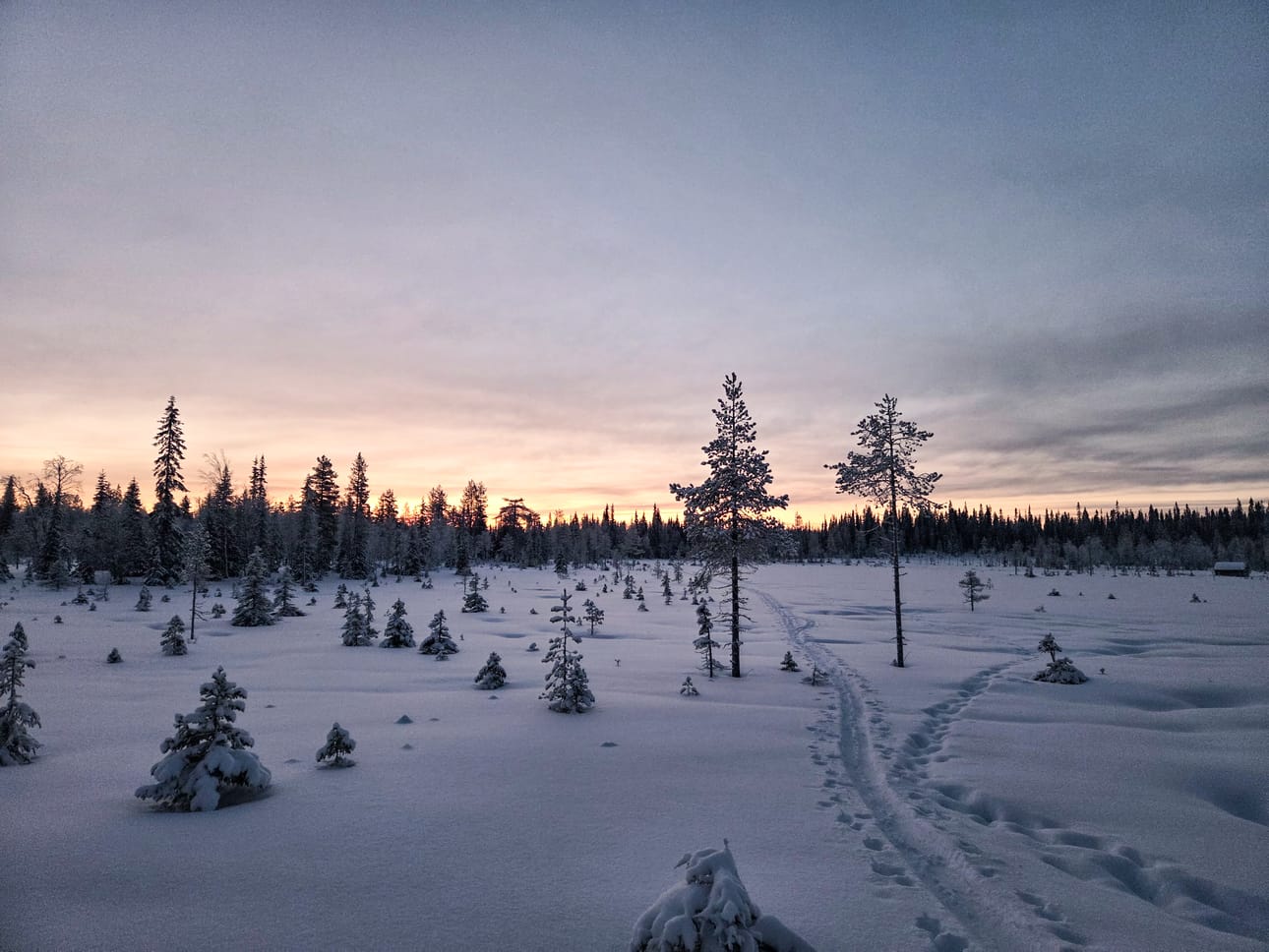 Pudasjärven erämaat kiinnostavat kotimaisten retkeilijöiden ohella myös ulkomaalaisia omatoimimatkailijoita.