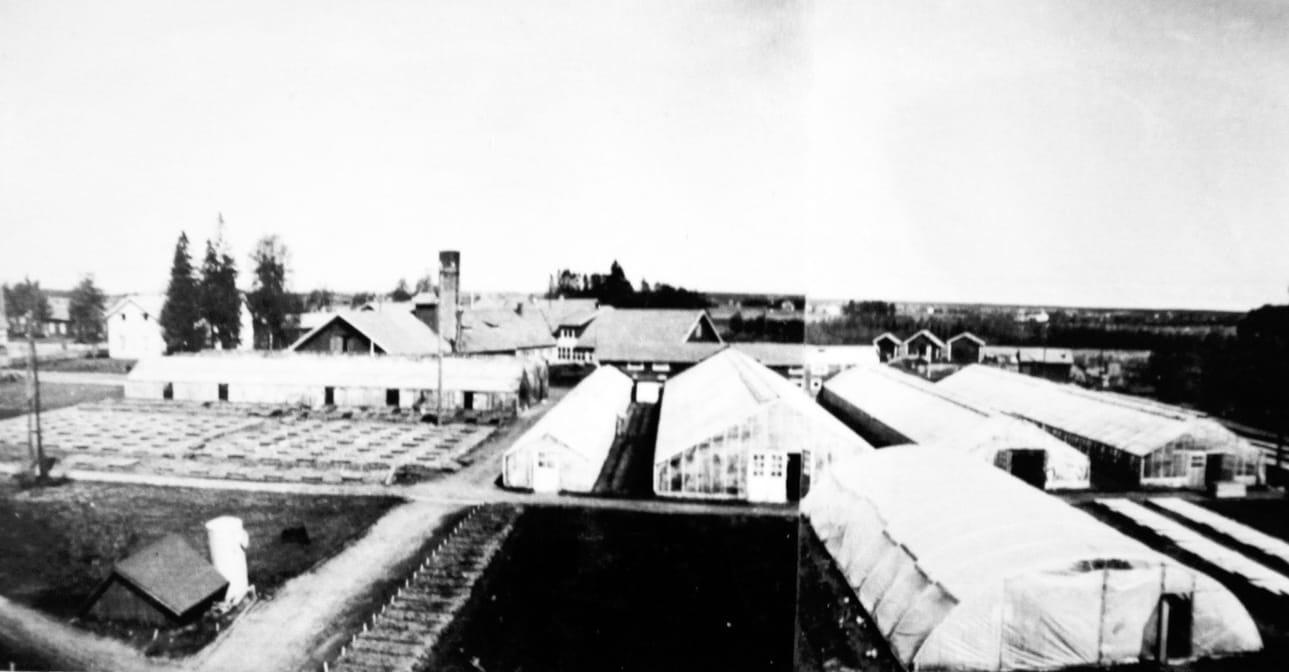 Pirilän puutarhaoppilaitoksen rakennuksia 1960-luvulla. Vasemmalla talo, joka tuhoutui tulipalossa 1967.