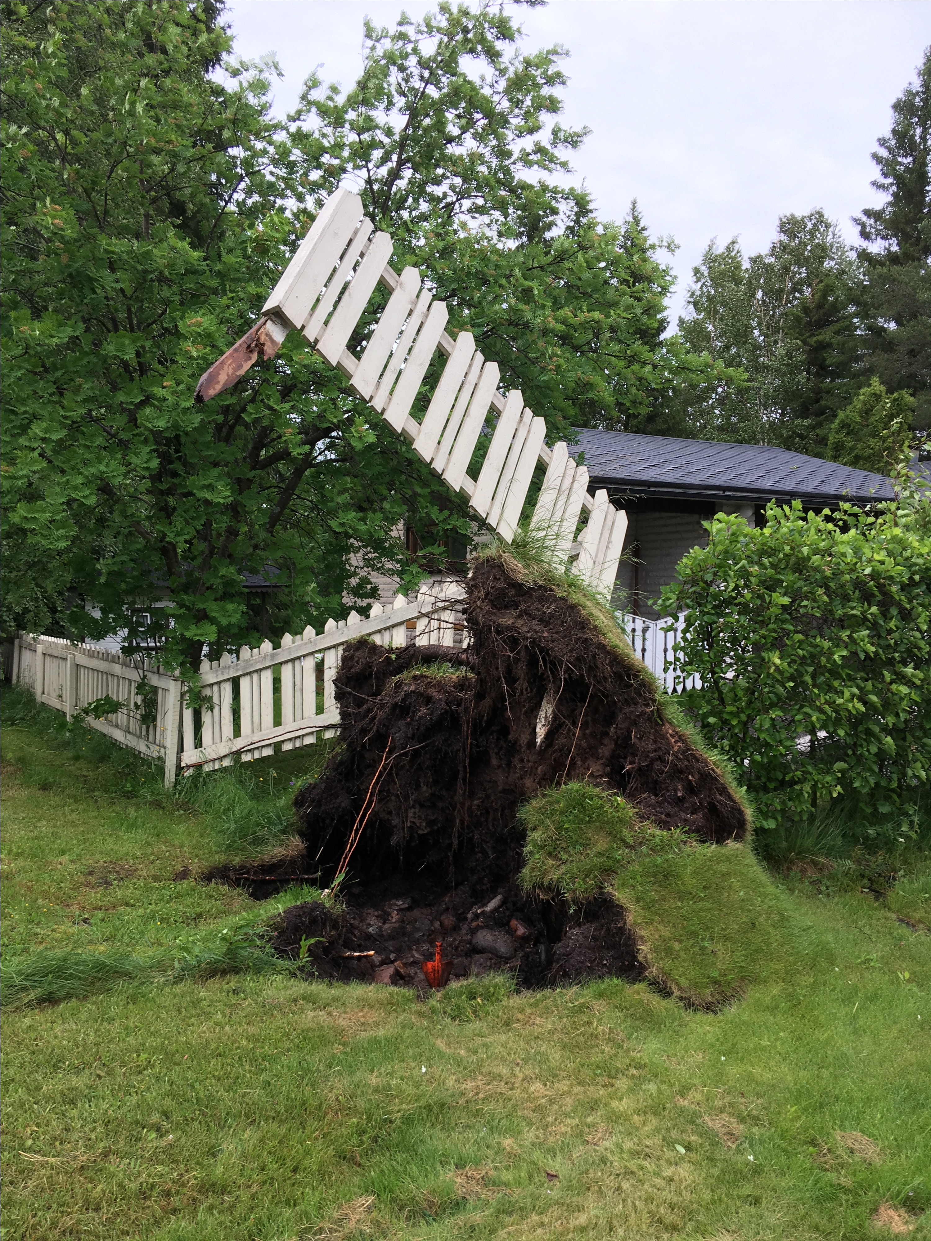 Juhannusmyrskyn tuhoja Patelassa.