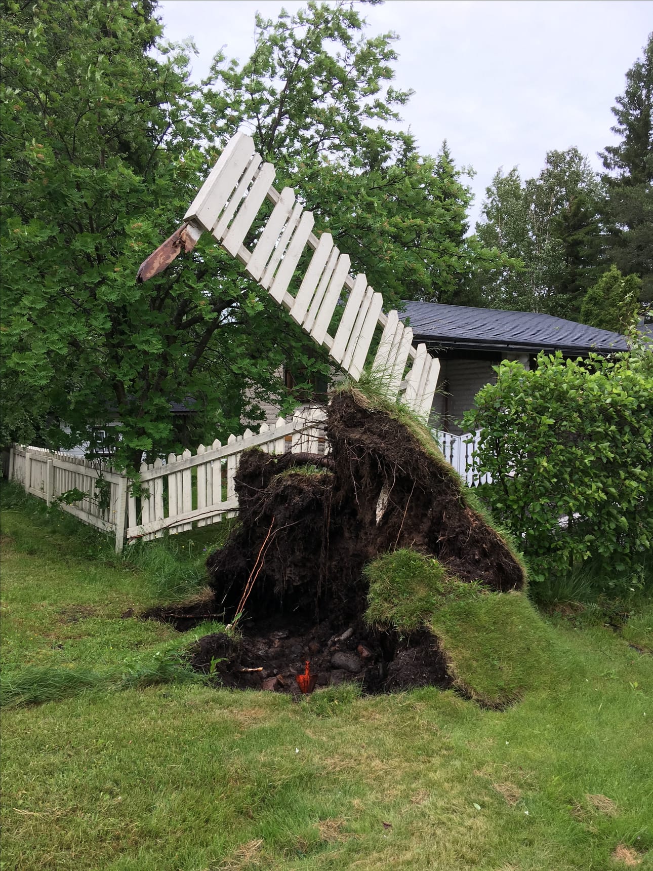 Juhannusmyrskyn tuhoja Patelassa.