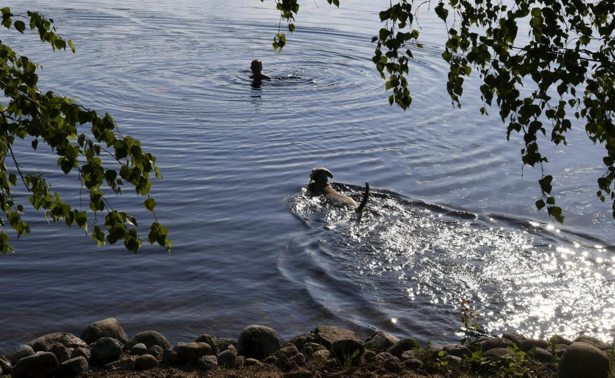Alkuviikolla lämpöä on enimmillään 20 asteen molemmin puolin, mutta viikon puolivälistä alkaen myös helteet ovat mahdollisia. LEHTIKUVA / Jussi Nukari