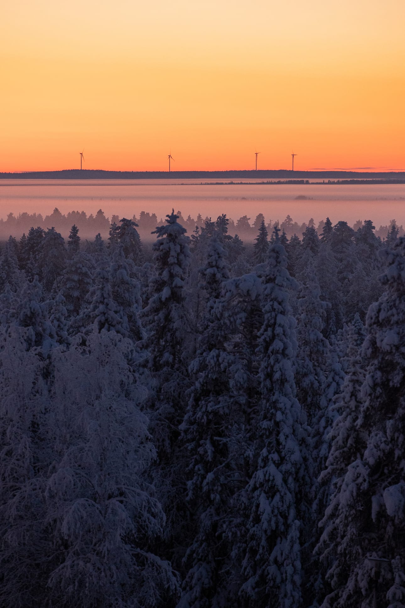 Kirjoittaja pohtii kirjoituksessaan Pudasjärven kaupungin tuulivoimasuunnitelmien mielekkyyttä. Kuvassa Kuusamon ja Posion rajalla sijaitsevat tuulivoimalat.