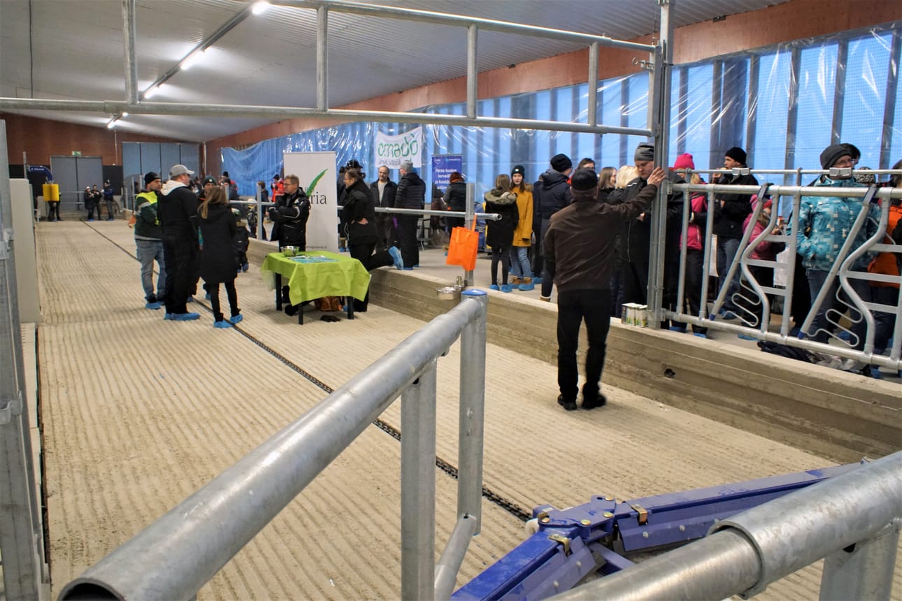 Uuden navetan esittely kiinnostaa, Livollakin väkeä riitti tiloihin tutustumaan pitkin päivää.